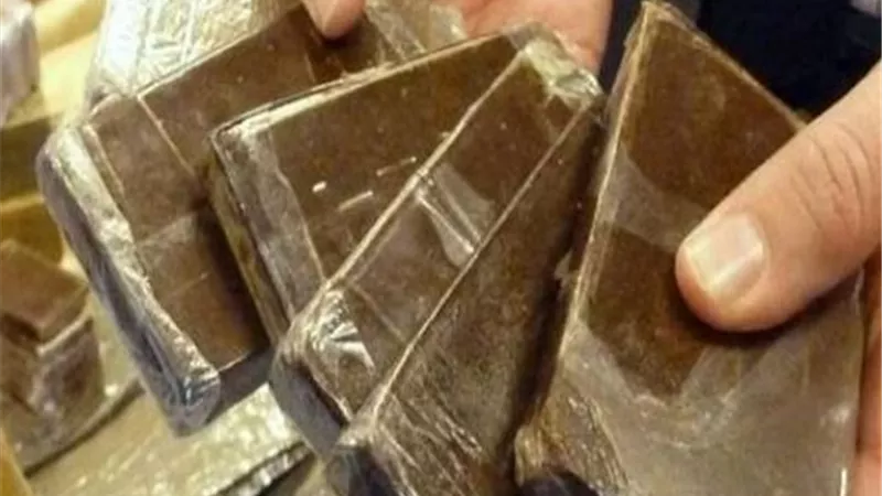 ضبط عاطلين وبحوزتهما 2 كيلو حشيش بالمطرية