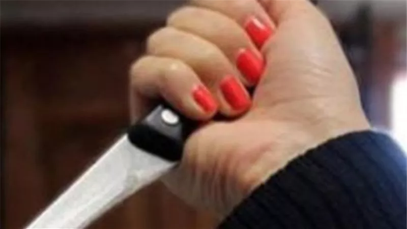 تفاصيل مثيرة وراء قتل ربة المنزل لحماها بالمقطم