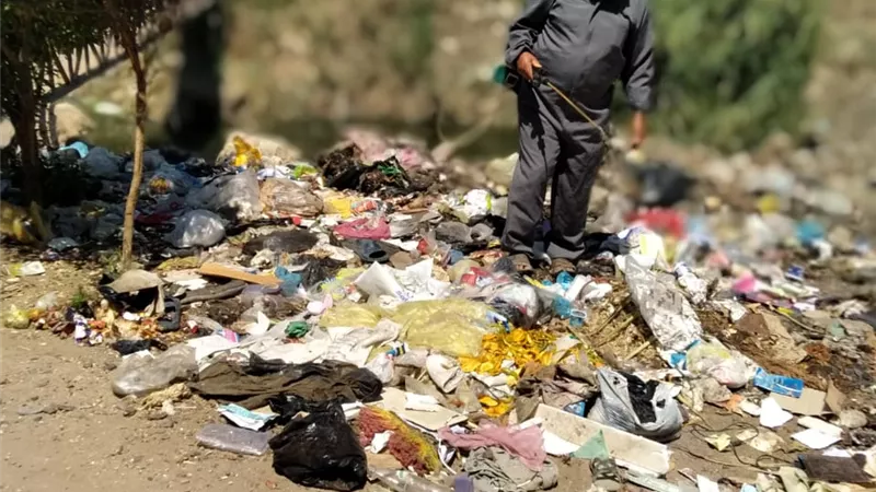 نشاط مكثف لمكافحة الأمراض المتوطنة بالشرقية.. صور