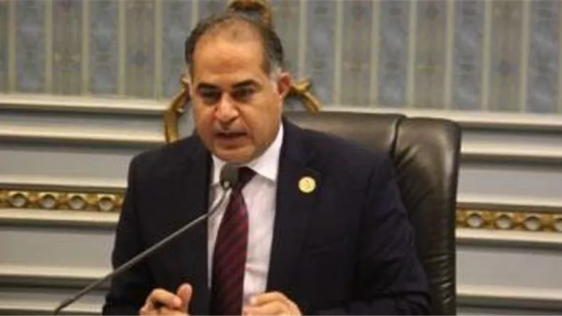 وكيل البرلمان: مصر ستكون من أهم 10 دول بالعالم 2024