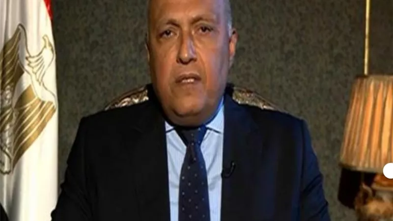 في اتصال هاتفي... وزير الخارجية سامح شكري يبحث العلاقات الثنائية مع نظيره الأرميني