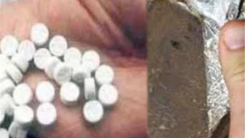 ضبط ربة منزل حاولت إدخال حشيش ومخدرات لنجل شقيقتها بسجن طوخ