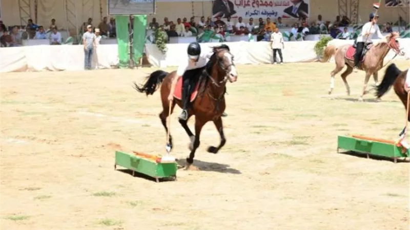 انطلاق مهرجان الخيول العربية بالشرقية يوم 26 سبتمبر القادم