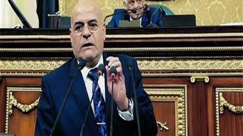 برلمانى : وجود كليات علمية جديدة محاولة جادة من الدولة لمواجهة البطالة