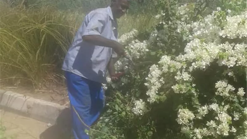 حملة لتجميل قرية الطود غرب جنوب الأقصر.. صور