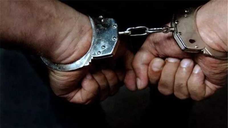 حبس سائق إستخرج رخصة قيادة بمؤهل مزور