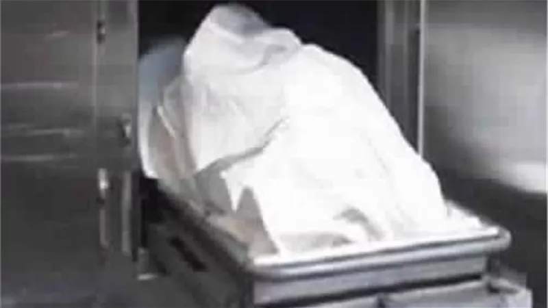 مصرع وإصابة طفل وشقيقه فى حادث تصادم بالدقهلية