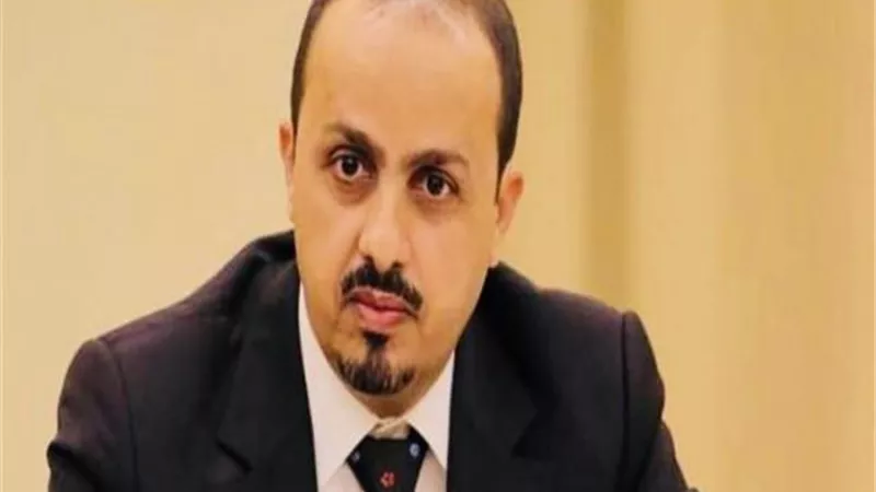 الإرياني يعلن وقف إطلاق النار بعدن وأبين وشبوة استجابة لقيادة التحالف