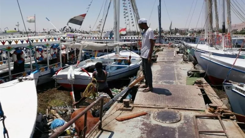 الأقصر تسحب العجل النافق بمياه النيل حفاظا على المظهر الحضارى