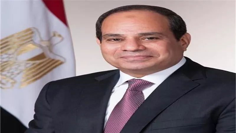 السيسي يلتقي برئيس الوكالة اليابانية للتعاون الدولى (جايكا)