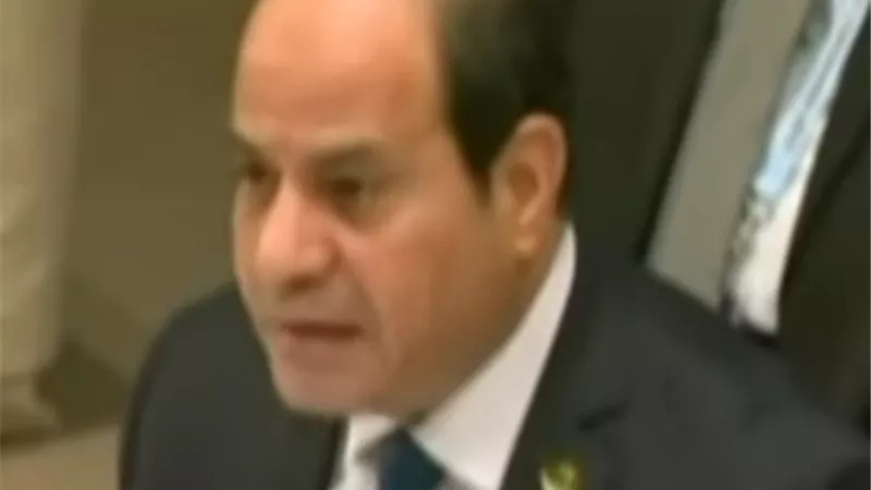 السيسي : تحقيق انطلاقة اقتصادية قوية يتطلب إيجاد شراكة بناءة مع القطاع الخاص