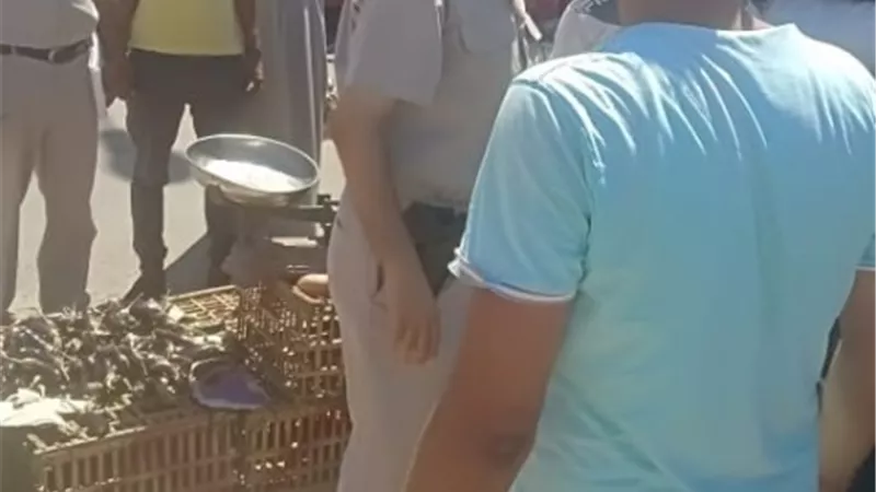 جهاز مدينة دمياط الجديدة يشُن حملة مكبرة على الباعة الجائلين
