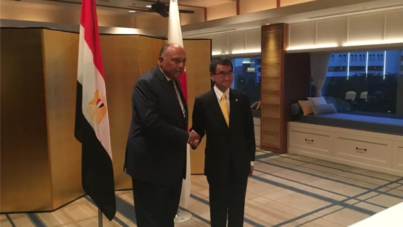 شكري ونظيره الياباني يبحثان تعزيز العلاقات الثنائية بين البلدين