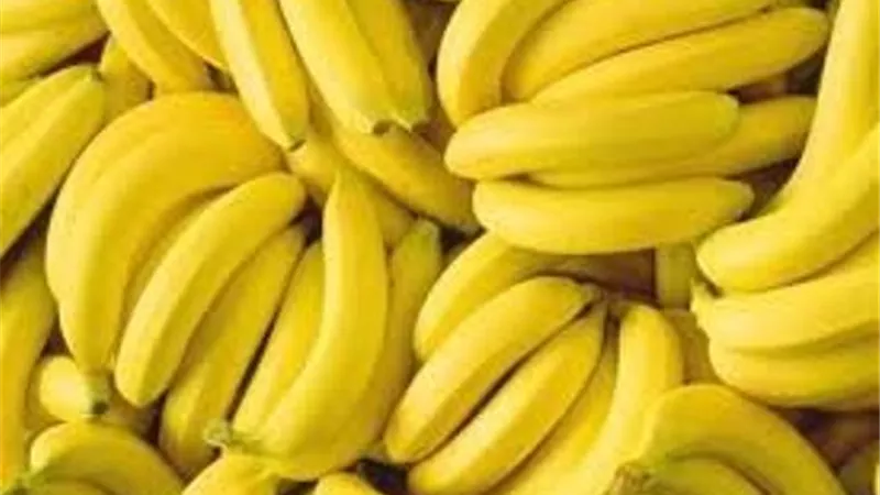الموز فاكهة الفلاسفة و الحكماء فوائده لا تعد ..تعرف عليها