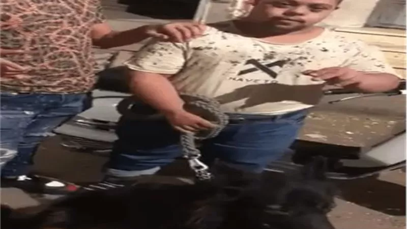 ضبط المتهم بترويع شاب من ذوى القدرات الخاصة بالجمالية