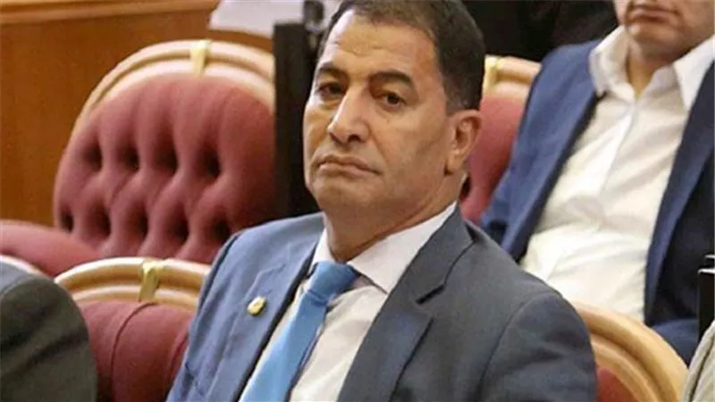 عضو النواب يطالب بمشروع قومى للقضاء على الحمى القلاعية