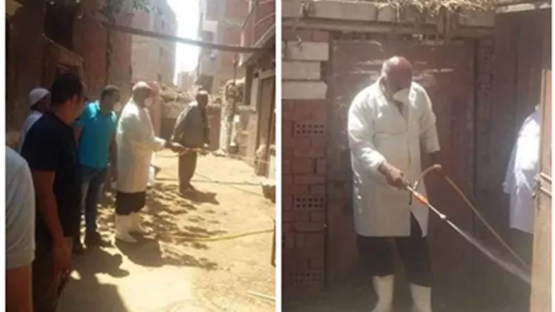 حيوانات ماصة لدماء الكلاب والإنسان تهاجم المنوفية.... صـــــور