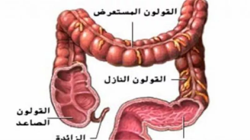 طريقة جديدة لعلاج القولون نهائيا ستطبق فى مصر قريبا