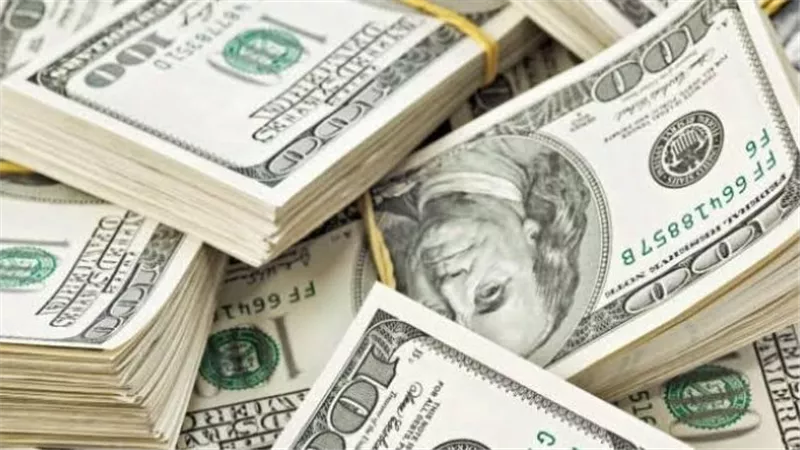 لماذا ألغت المالية تثبيت الدولار الجمركي.. استقرار أسعار العملات الأجنبية أهم الأسباب