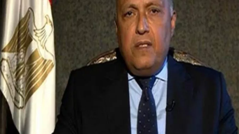 شُكري يُجري اتصالاً هاتفياً مع رئيس الوزراء اللبناني لمناقشة آخر مُستجدات الوضع في لبنان