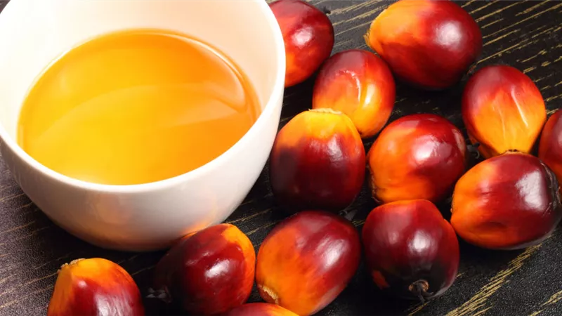احذري .. زيت النخيل يشكل خطرا على الصحة
