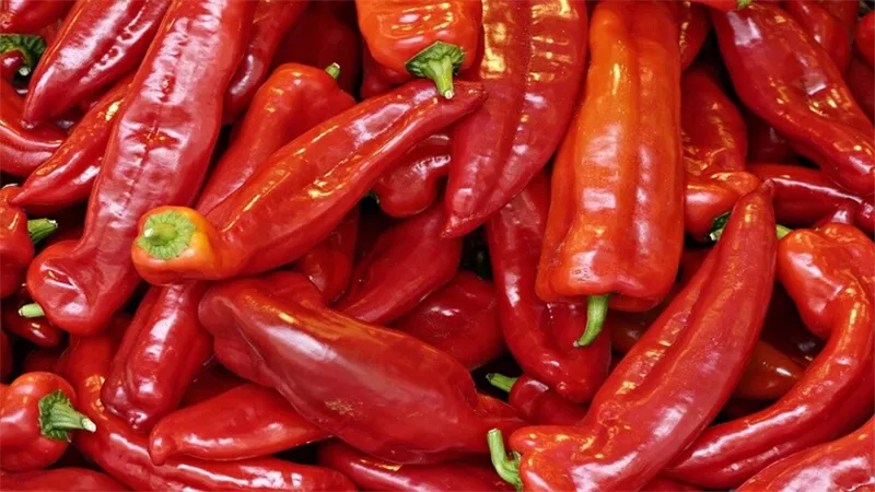 منها فقدان الوزن ..4 فوائد مذهلة للفلفل الحار