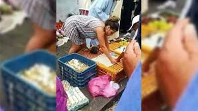 لانقاذ الدجاج .. سائحة بريطانية تهاجم تجارالطيور بالمغرب