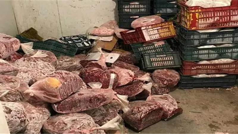 ضبط 21 طن دجاج غير صالح للإستهلاك الآدمي بالفيوم