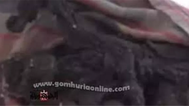 كشف هوية جثة الطفل المتفحمة ومرتكب الجريمة فى مفاجأة مدوية بالوادى الجديد