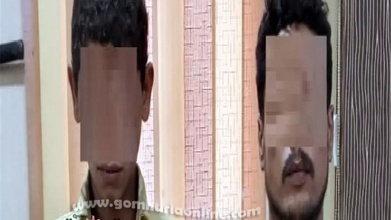 القرد حرق مخزن هياكل السيارات بكرموز والسبب صادم