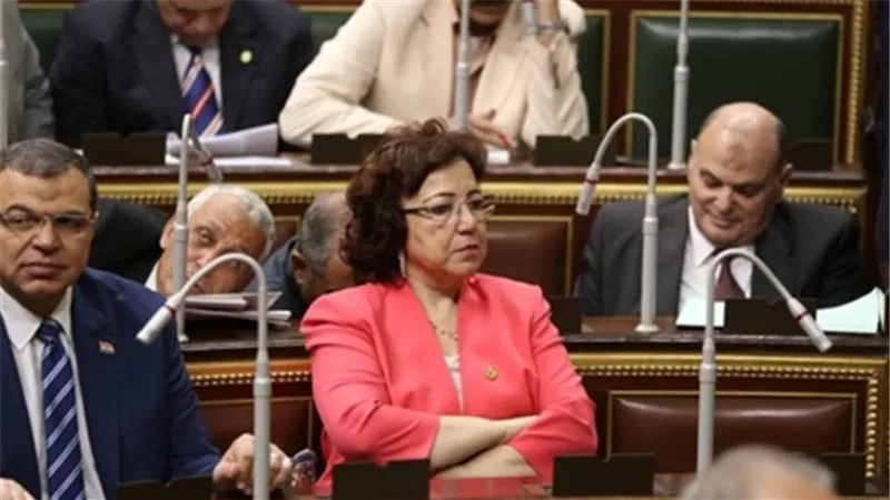 فاقة فهيم: مناقشة مشروعات قوانين الأحوال الشخصية لتلبية مطالب المواطنين