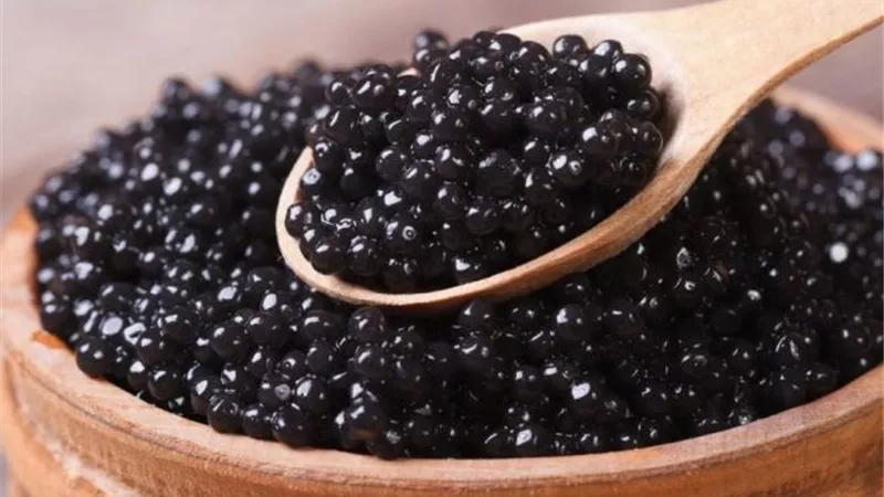أسباب ارتفاع تكلفة الكافيار الأسود..تعرف عليها