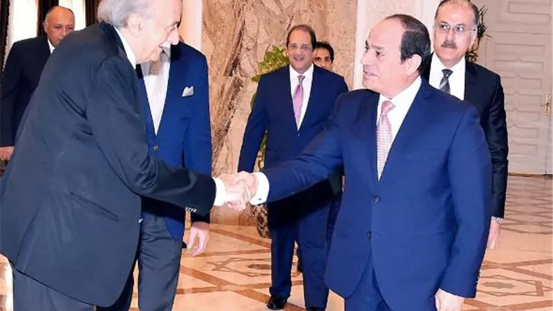 الرئيس السيسي يستقبل وليد جنبلاط.. ويؤكد على دوره العروبي للحفاظ على استقرار لبنان