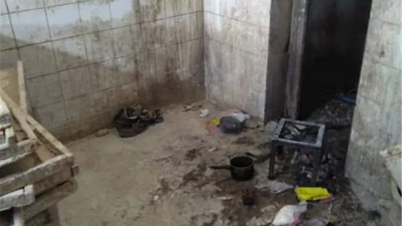 غلق وتحرير17 محضر صحى لمخابز اهناسيا