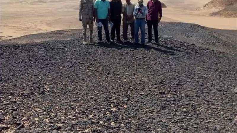 قطار التنمية يصل ابوطرطور لزراعة ١٧ ألف فدان بطاطس بالوادى الجديد. صور