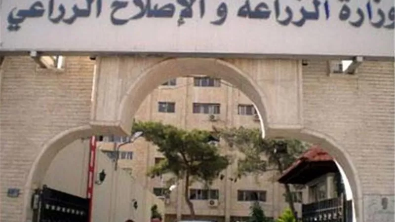 وزارة الزراعة: ضبط 27 طن لحوم ودواجن واسماك غير صالحة للاستهلاك الأدمي