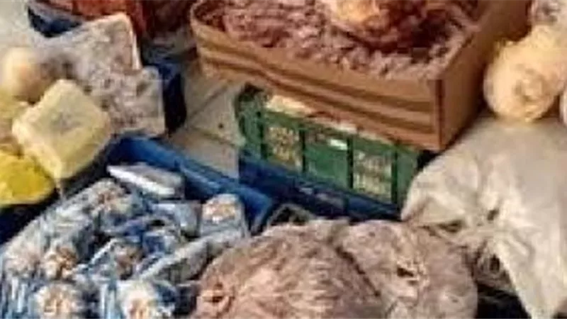 مباحث التموين تضبط 8 اطنان لحوم فاسدة بالوايلى
