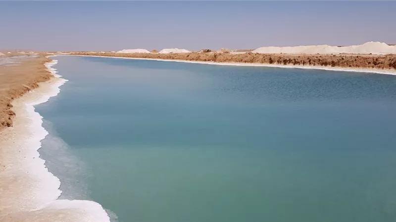 يالصور.. رحلة فى برارى واحة سيوة