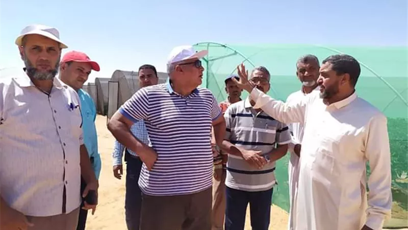 محافظ الوادى الجديد يتفقد مشروعات الصوب الزراعية