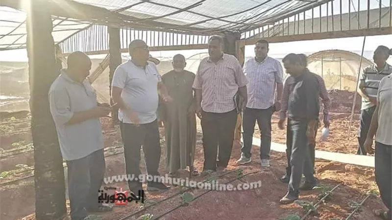 لأول مرة بالوادى الجديد إقامة صوب زراعية من مخلفات النخيل .صور