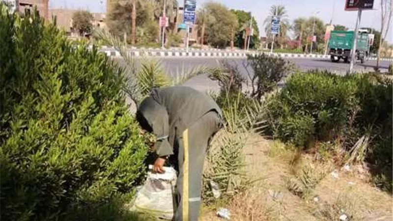 حملات نظافة في أحياء الأقصر.. صور