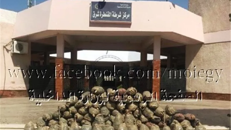 ضبط ربع طن بانجو بمخزن سري بالإسماعيلية