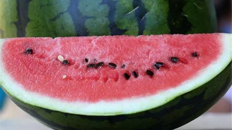 البطيخ.. منافع صحية كبرى