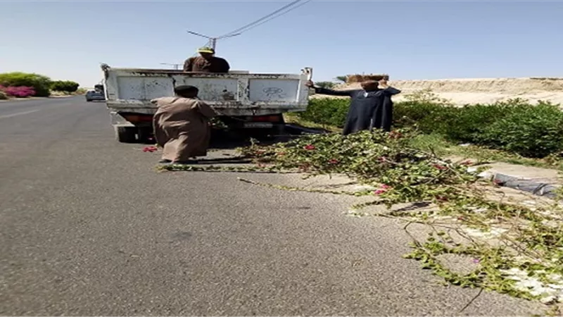 الطود غرب جنوب الأقصر تتجمل بحملات النظافة والتشجير