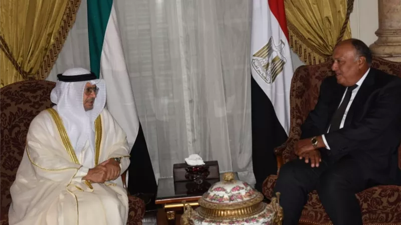 شكري يستقبل انور قرقاش ويتناقشان حول عدد من القضايا المشتركة وجهود مكافحة الارهاب