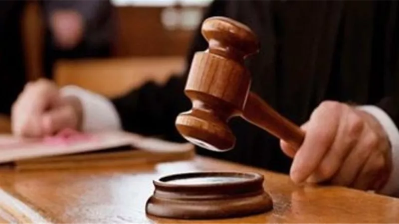 حبس 16 متهما بخلية التخطيط للإضرار بالدولة 15 يوما على ذمة التحقيقات