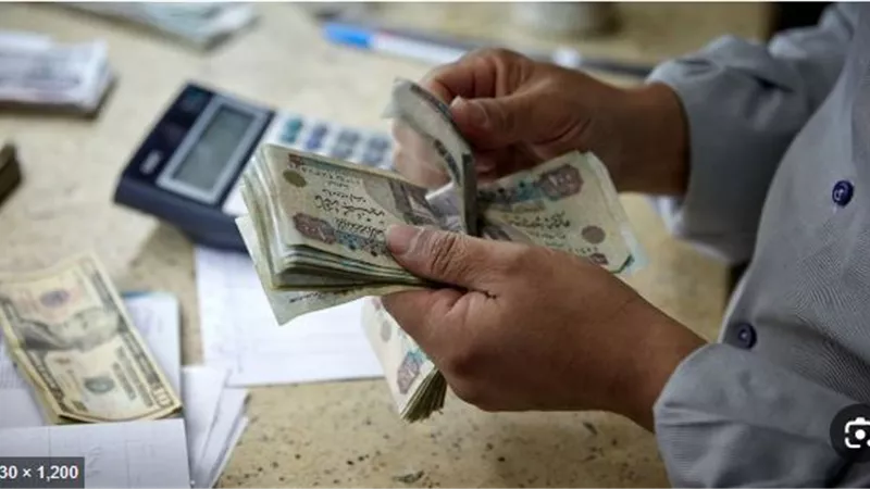 ضبط 7 شركات غير مرخصة لهفت فلوس 