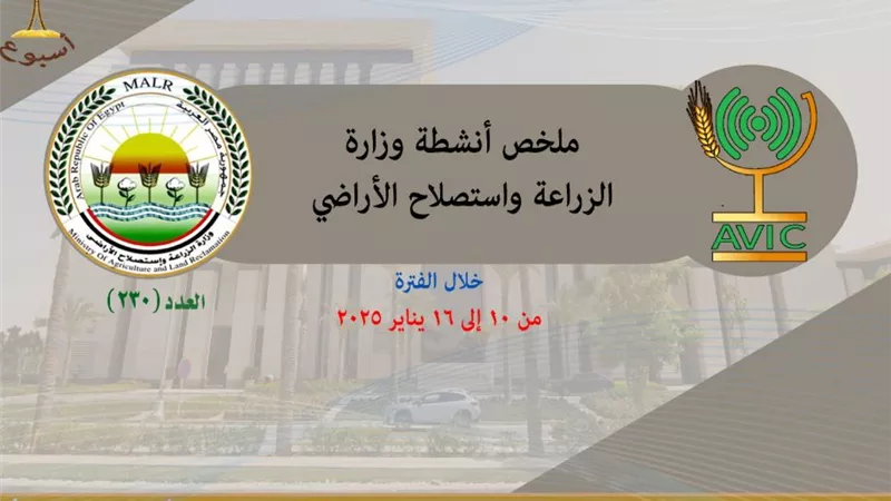 بالانفوجراف 