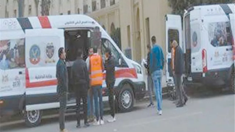 الشرطة المصرية 