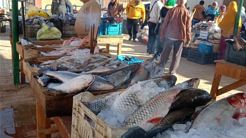 الوادى الجديد تفيض بالخير فى ملتقي السوق الواحد لدعم المواطنين